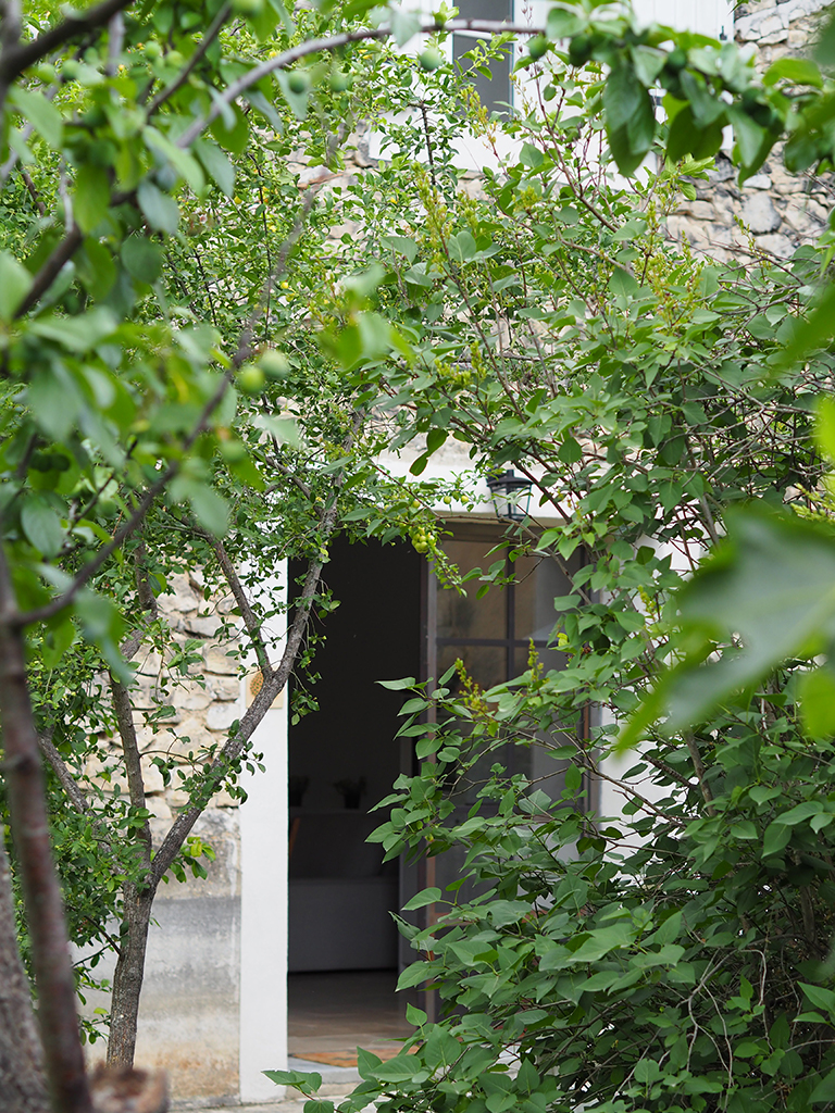 Jardin_OI001043